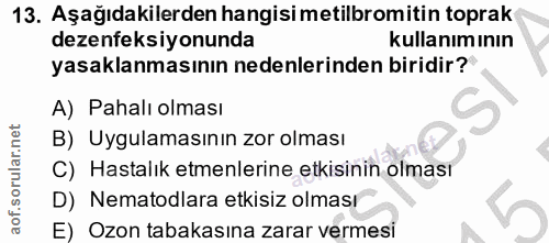 Soru 13