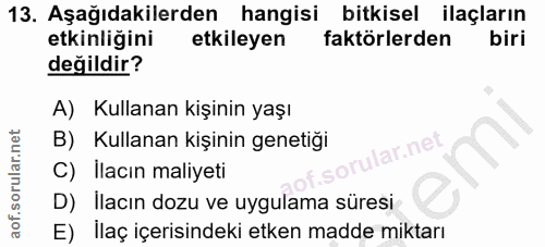 Soru 13