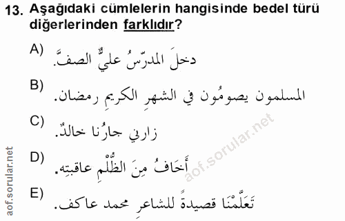 Soru 13