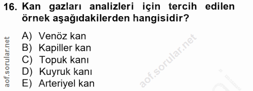 Soru 16
