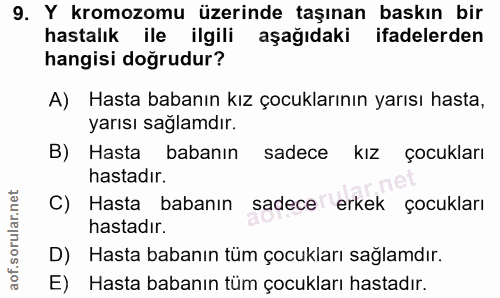 Soru 9