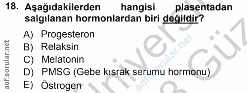 Soru 18