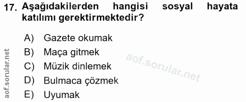 Soru 17