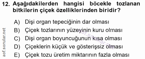 Soru 12