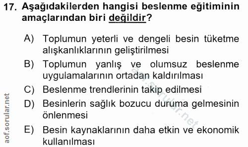 Soru 17