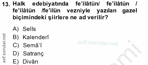 Soru 13