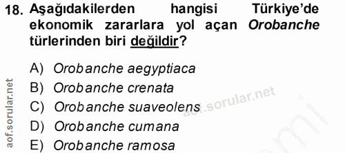 Soru 18