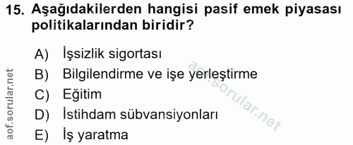 Soru 15