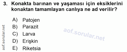 Soru 3