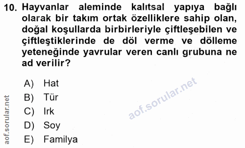 Soru 10