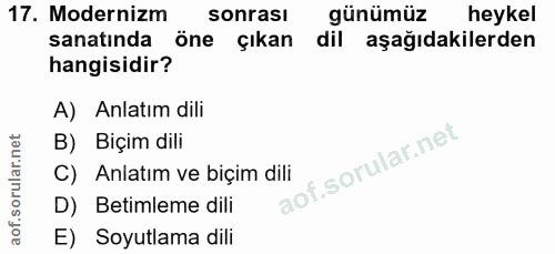 Soru 17