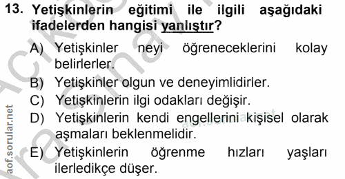 Soru 13