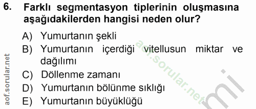 Soru 6