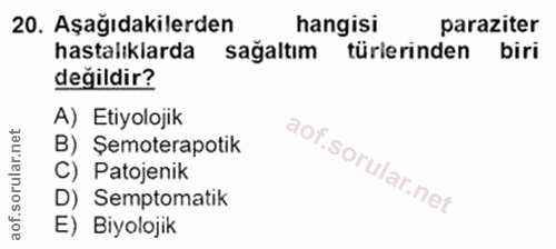 Soru 20