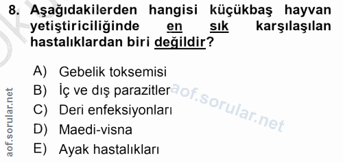 Soru 8
