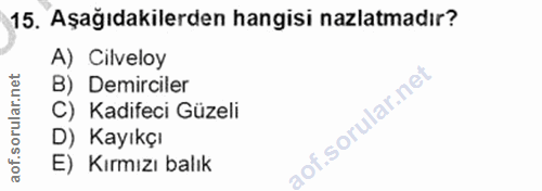 Soru 15
