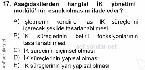 Soru 17