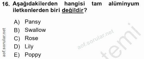 Soru 16