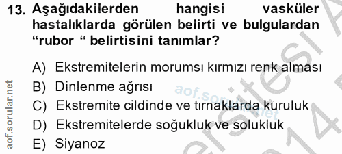 Soru 13