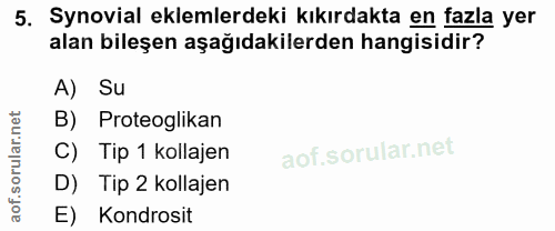 Soru 5