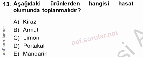 Soru 13