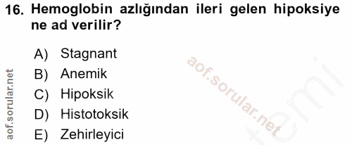 Soru 16