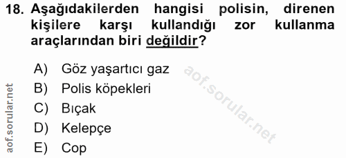 Soru 18