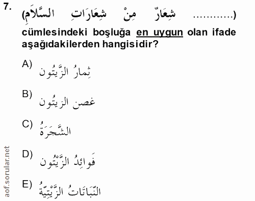Soru 7