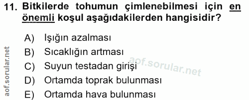 Soru 11