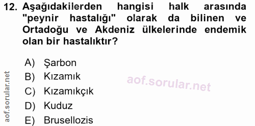 Soru 12