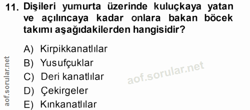 Soru 11