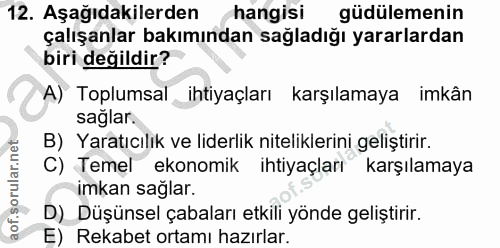 Soru 12