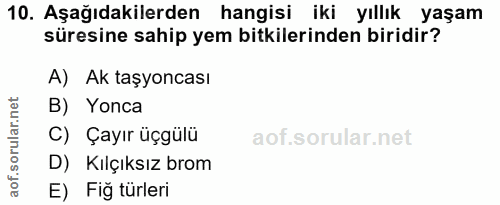 Soru 10