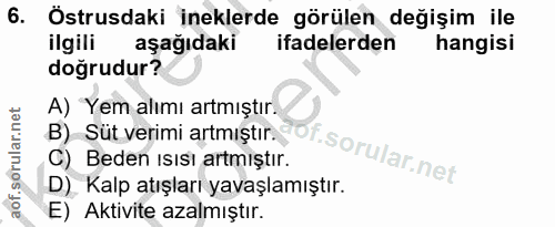 Soru 6