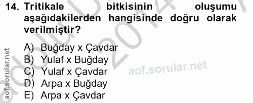 Soru 14