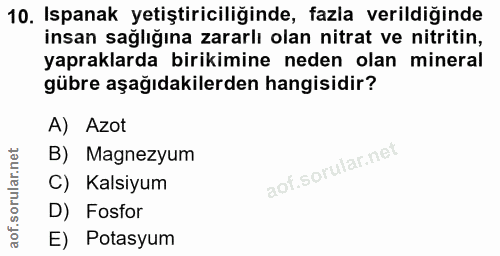 Soru 10