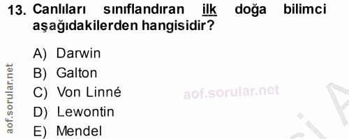 Soru 13