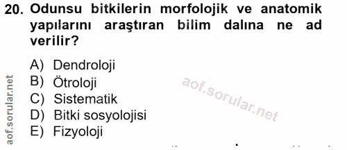 Soru 20