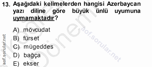 Soru 13
