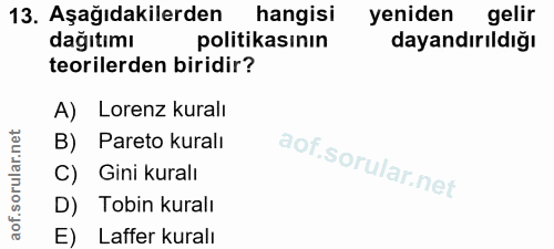 Soru 13