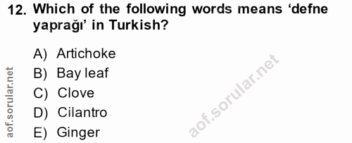 Soru 12