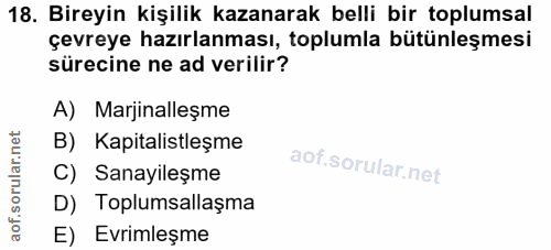 Soru 18