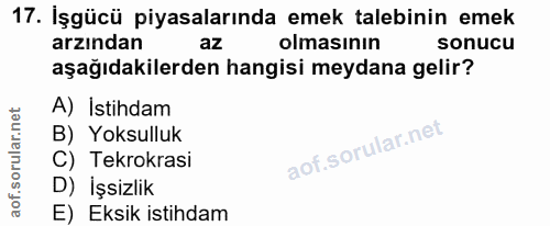 Soru 17