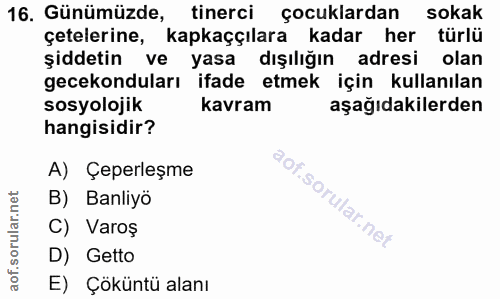Soru 16