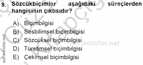 Soru 9