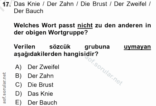 Soru 17