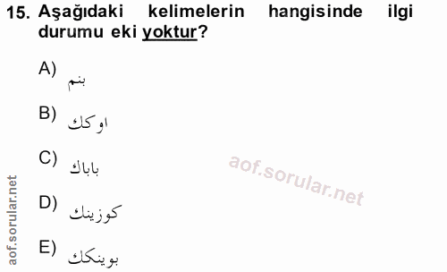 Soru 15