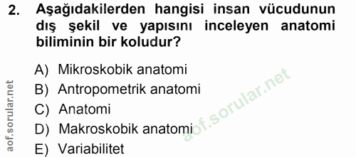 Soru 2