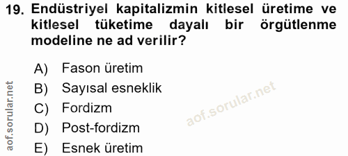Soru 19