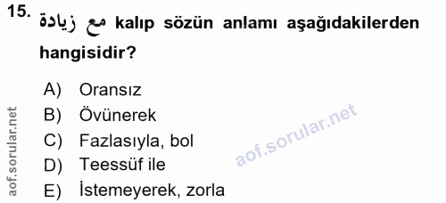 Soru 15